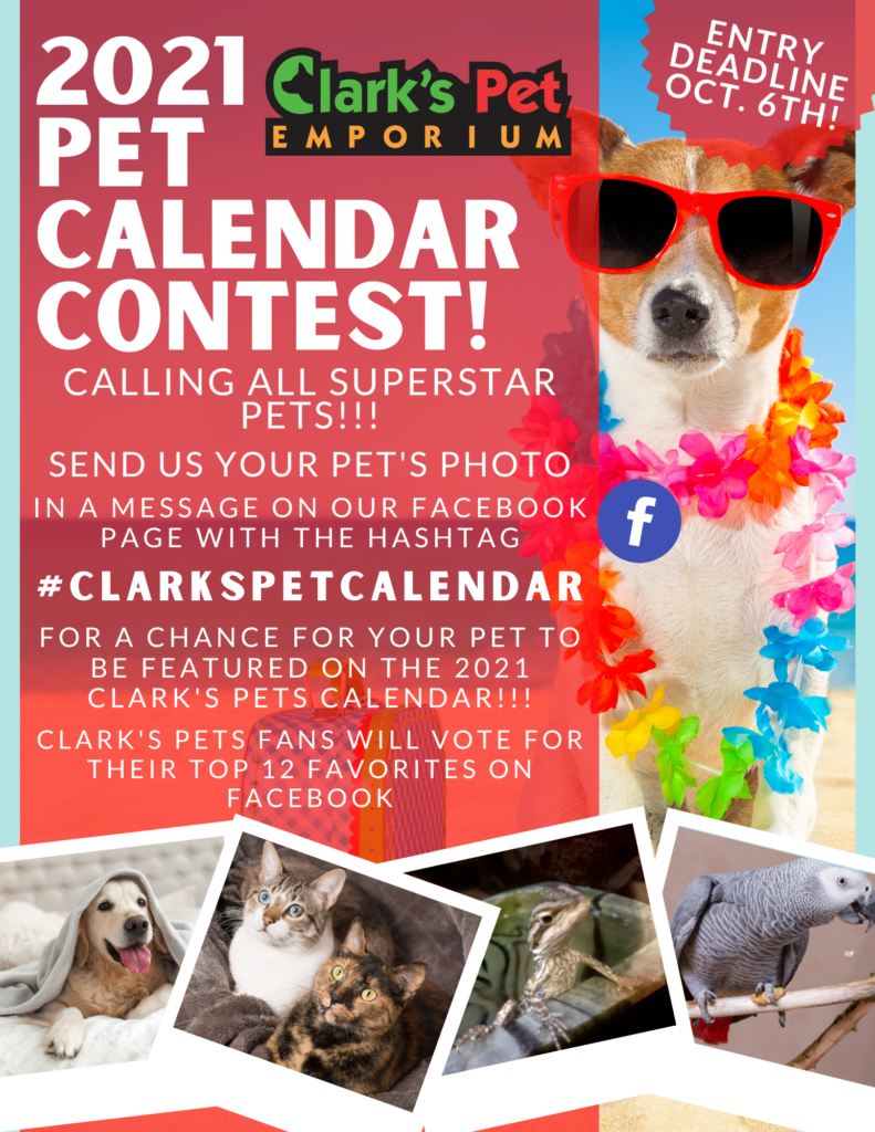 2021 Clark's Pet Calendar Contest Enter Your Pets Photo Now!