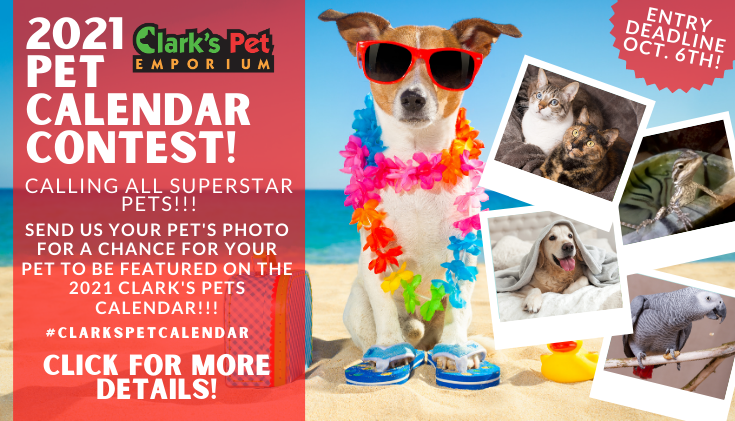 2021 Clark #39 s Pet Calendar Contest Enter Your Pets Photo Now