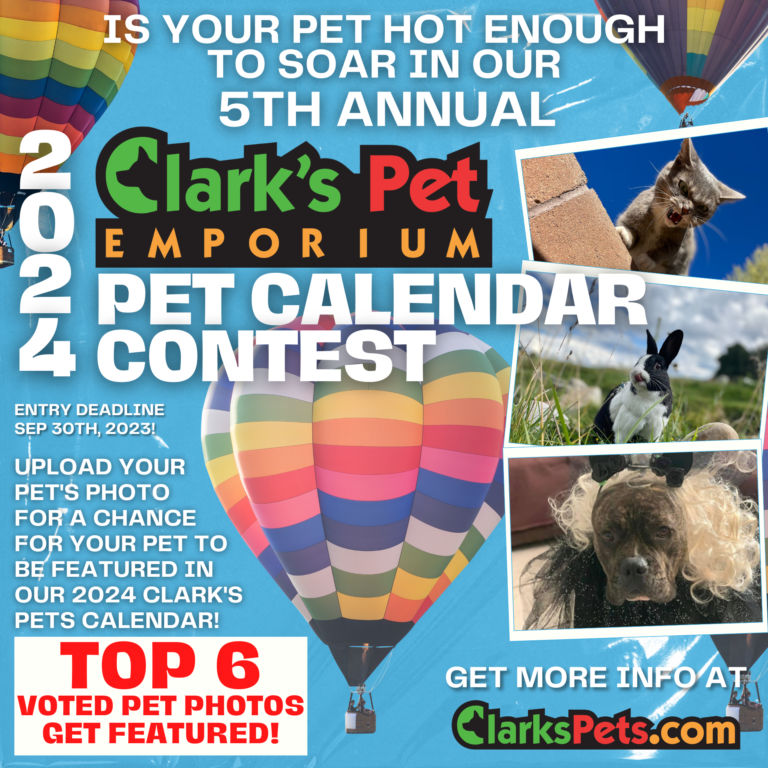 2024 Clark's Pet Calendar Contest Enter Your Pet's Photo Now!
