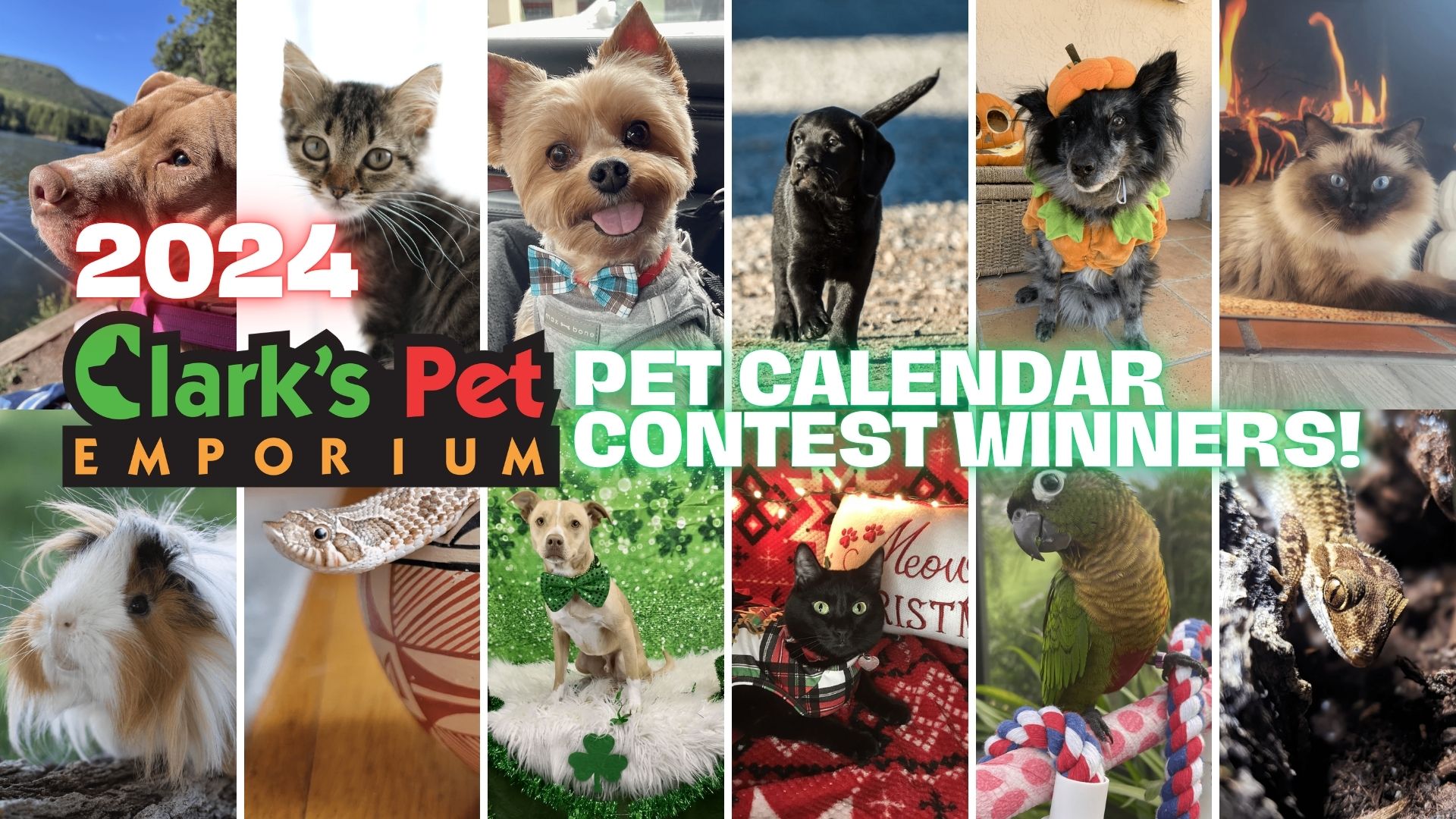 Congrats to our 2024 Pet Calendar Contest Winners