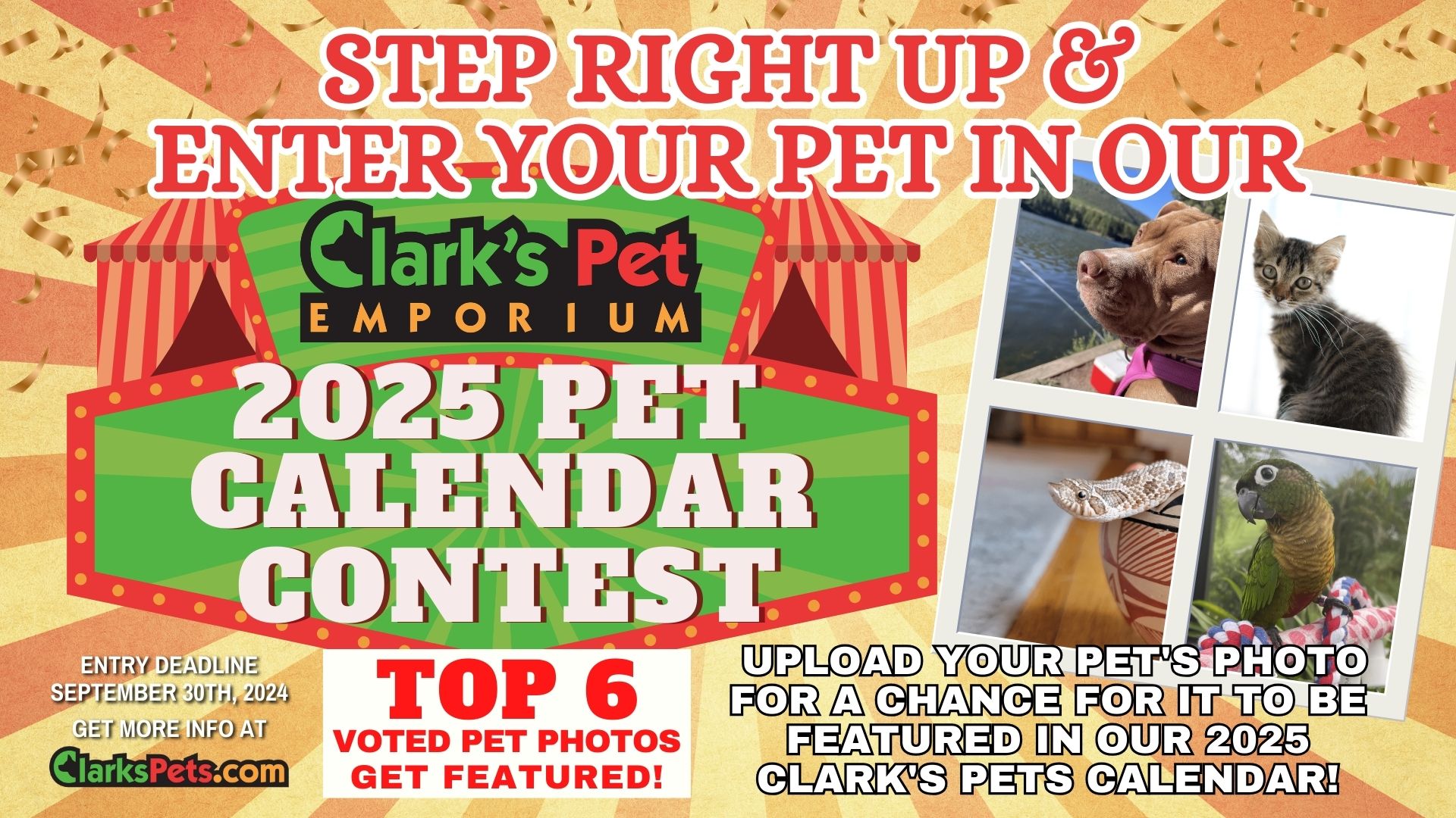 2024-clark-s-pet-calendar-contest-enter-your-pet-s-photo-now